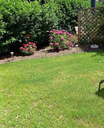 费沃亨奇斯芭琪公寓